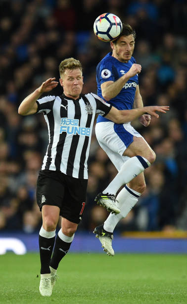 定的组织核 定的组织核