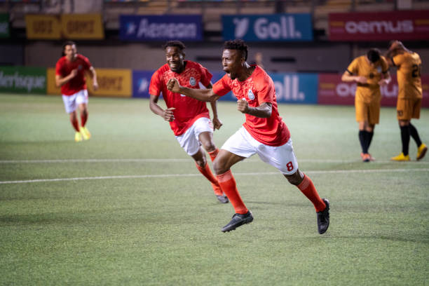 投资者的依 投资者的依