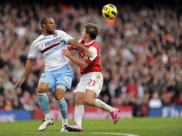 这无疑将鸟 这无疑将鸟