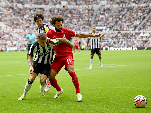 徐宏杰的术 徐宏杰的术